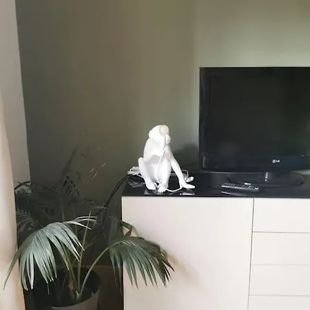 03 Centralissimo Ampio Bilocale Con Garage