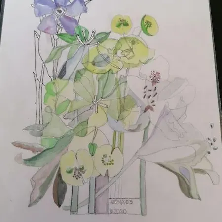 Apartamento 03 Centralissimo Ampio Bilocale Con Garage Arona